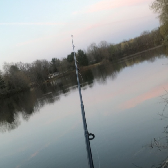 Meet your Posher, Aidan - Picture 1 of 1